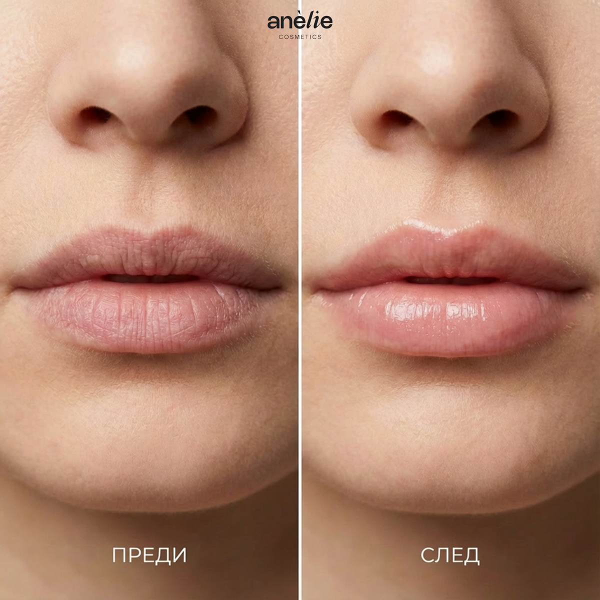 Anèlie Lip Veil — daytime lip balm